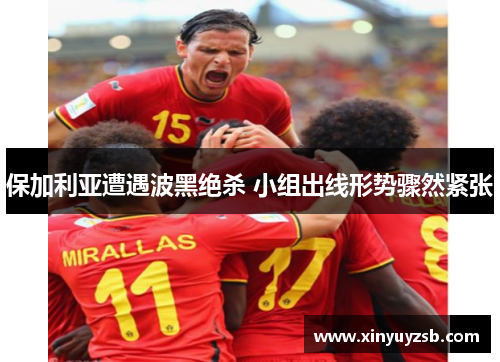 保加利亚遭遇波黑绝杀 小组出线形势骤然紧张