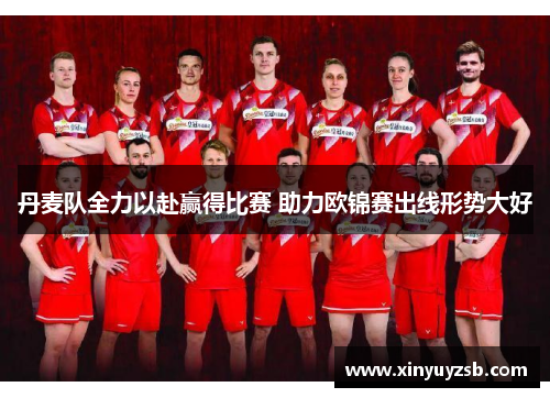 丹麦队全力以赴赢得比赛 助力欧锦赛出线形势大好