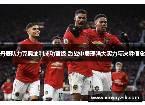 丹麦队力克奥地利成功晋级 激战中展现强大实力与决胜信念