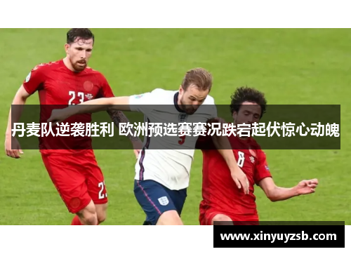 丹麦队逆袭胜利 欧洲预选赛赛况跌宕起伏惊心动魄