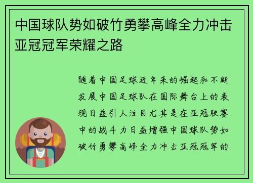 中国球队势如破竹勇攀高峰全力冲击亚冠冠军荣耀之路