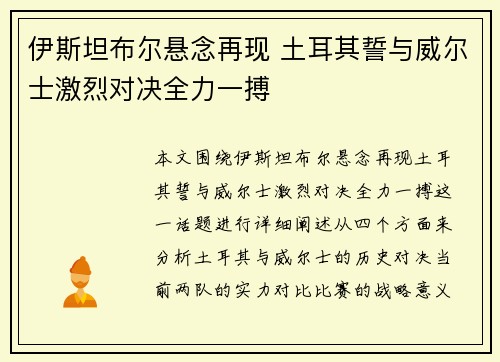 伊斯坦布尔悬念再现 土耳其誓与威尔士激烈对决全力一搏