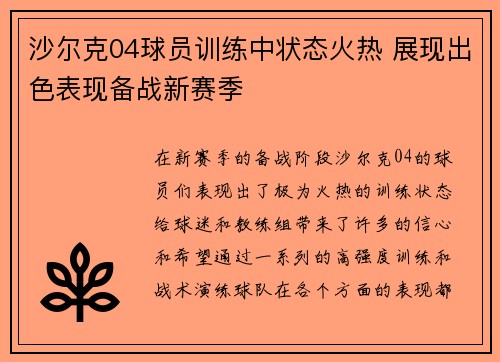 沙尔克04球员训练中状态火热 展现出色表现备战新赛季