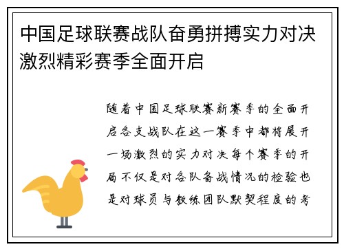 中国足球联赛战队奋勇拼搏实力对决激烈精彩赛季全面开启